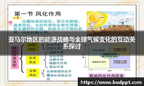 亚马尔地区的能源战略与全球气候变化的互动关系探讨